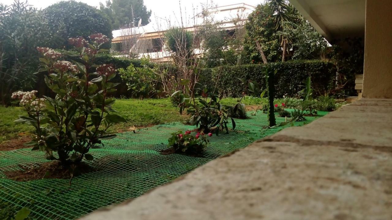 Garden Studio 55 S.M. Афины Экстерьер фото